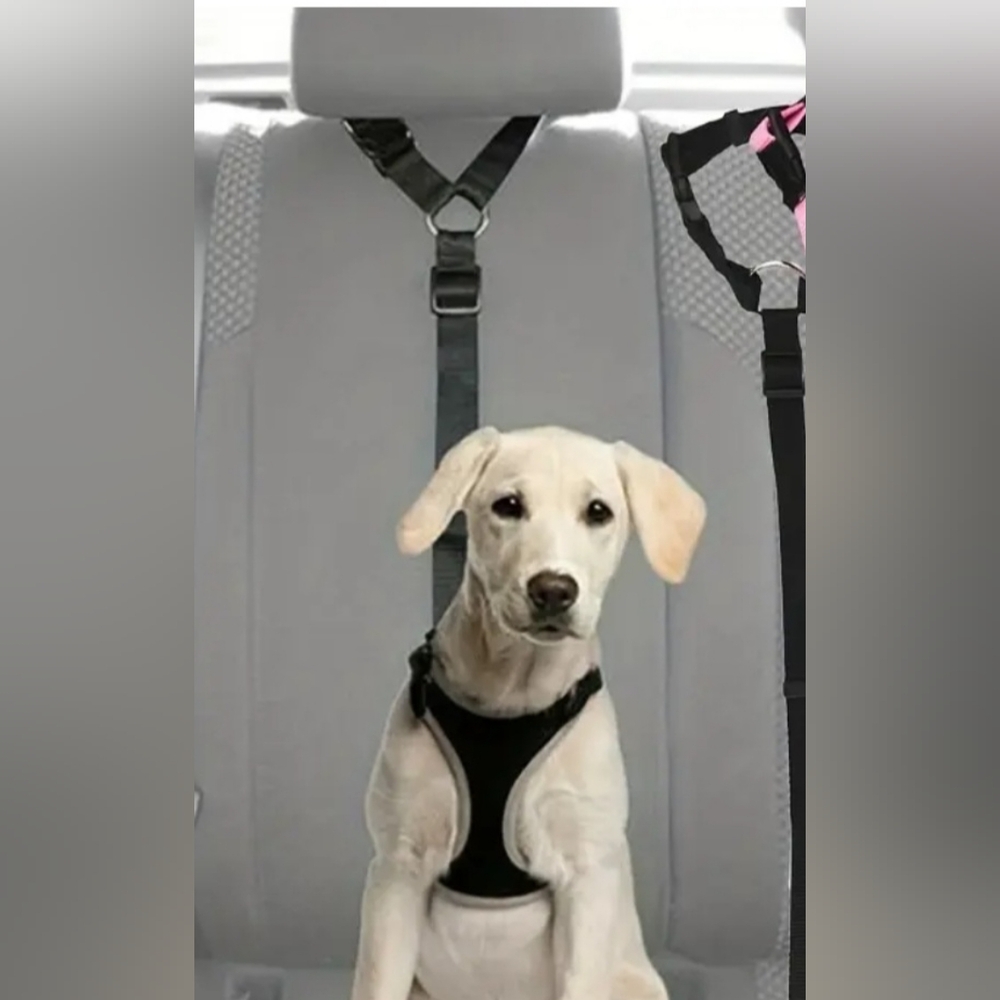 Dog Car Seat Belt Black